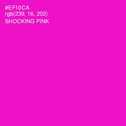 #EF10CA - Shocking Pink Color Image